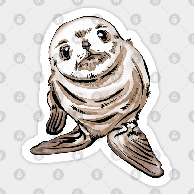 Cute Baby Seal Cute Baby Seal Sticker TeePublic